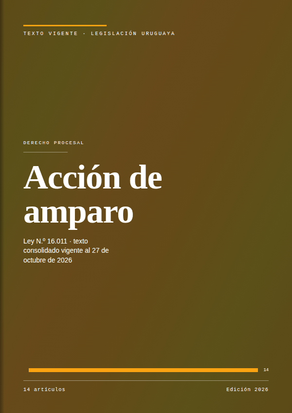 Portada de la edición en PDF de Acción de amparo, texto consolidado vigente al 27 de octubre de 2026